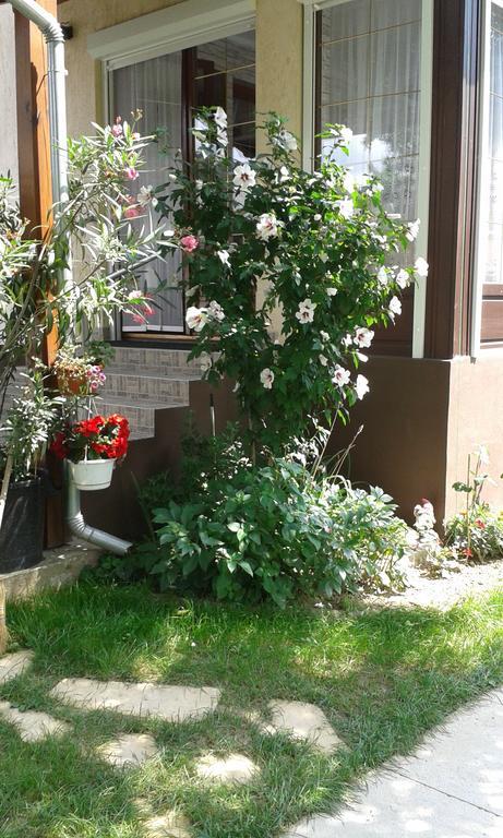 Holiday Apartmanhaz Залакарош Экстерьер фото